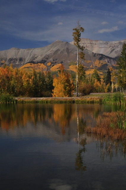 At Elk Pond in Mountain Village